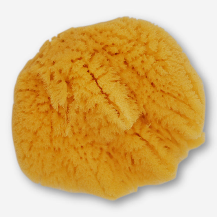 Aegean - Grass Sea Sponge