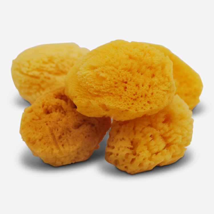 Aegean - Grass Sea Sponge