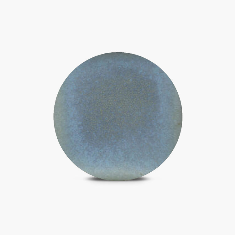 Coyote - Ice Blue Pint - MBG058
