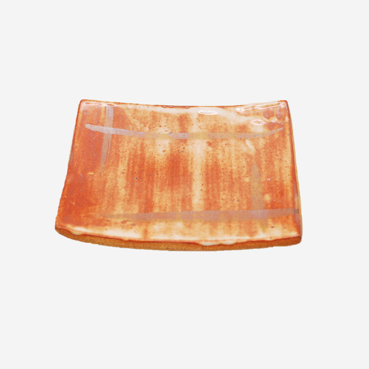 Plate by Sante Salvoni