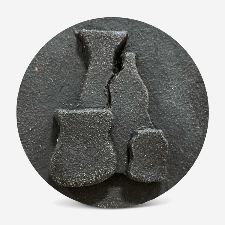 Aardvark - Charcoal clay cone 5/6 - 25lbs