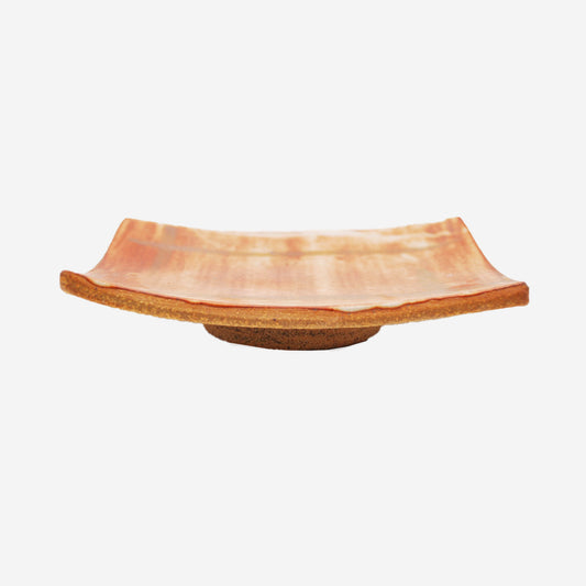 Plate by Sante Salvoni